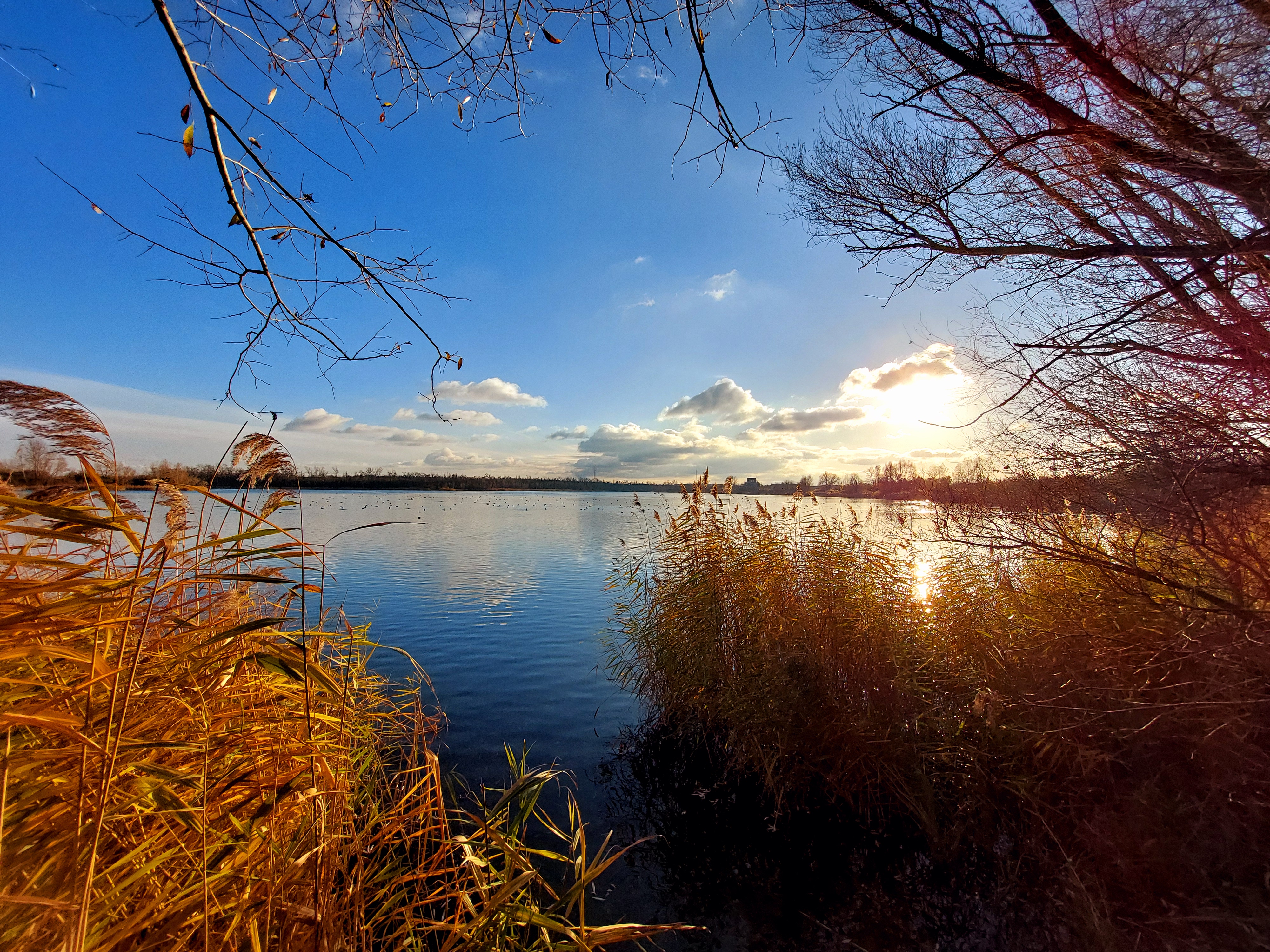 (Nordic)Walking um den HUFI